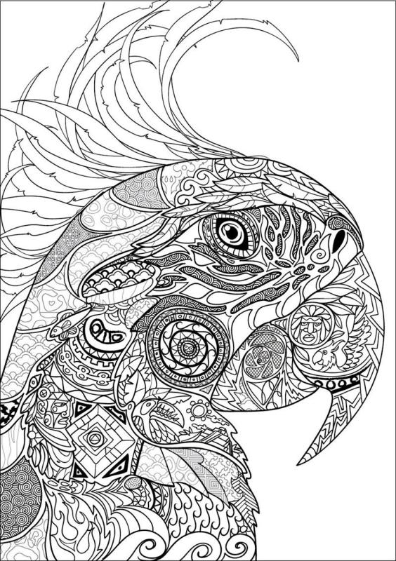 Раскраски сложные