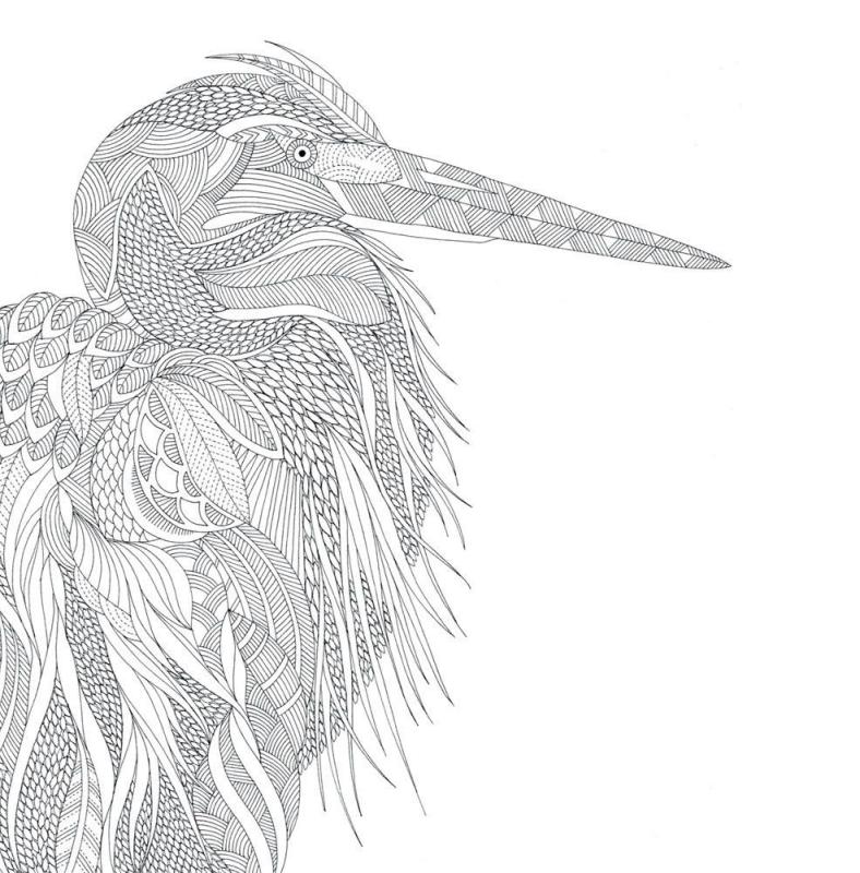 Раскраски антистресс Милли Маротта