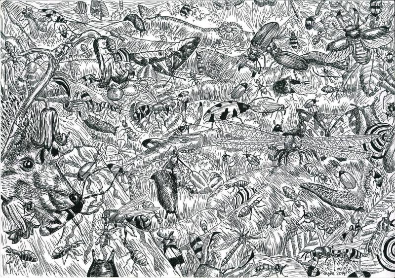 Сербский художник Душан Кртолица