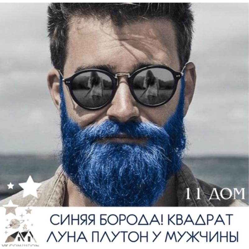 Вера Павлова иллюстрации к синяя борода