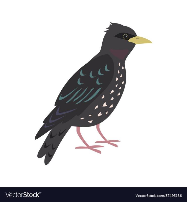 Скворец из мультика