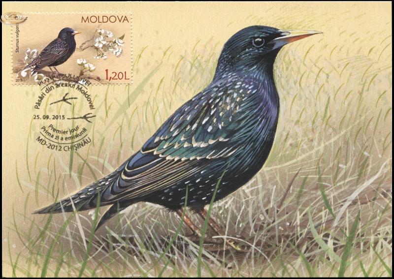 Птицы Молдавии