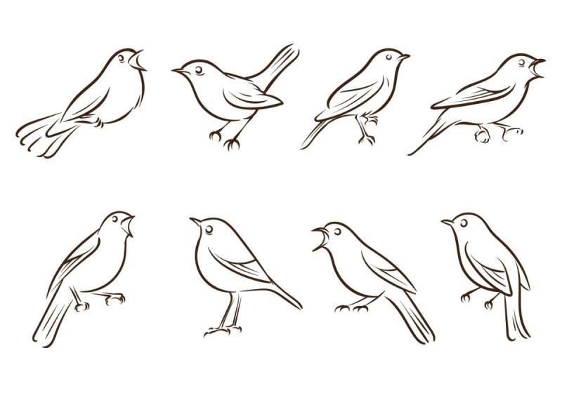 Маленькие птицы рисунок