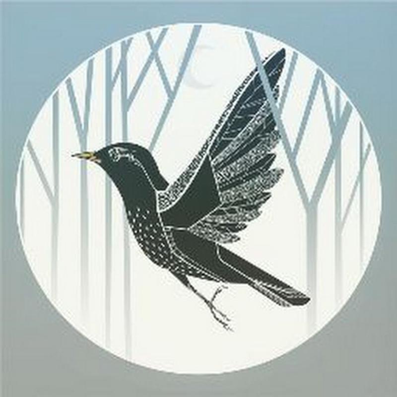 Геннадий Снегирёв скворец иллюстрации