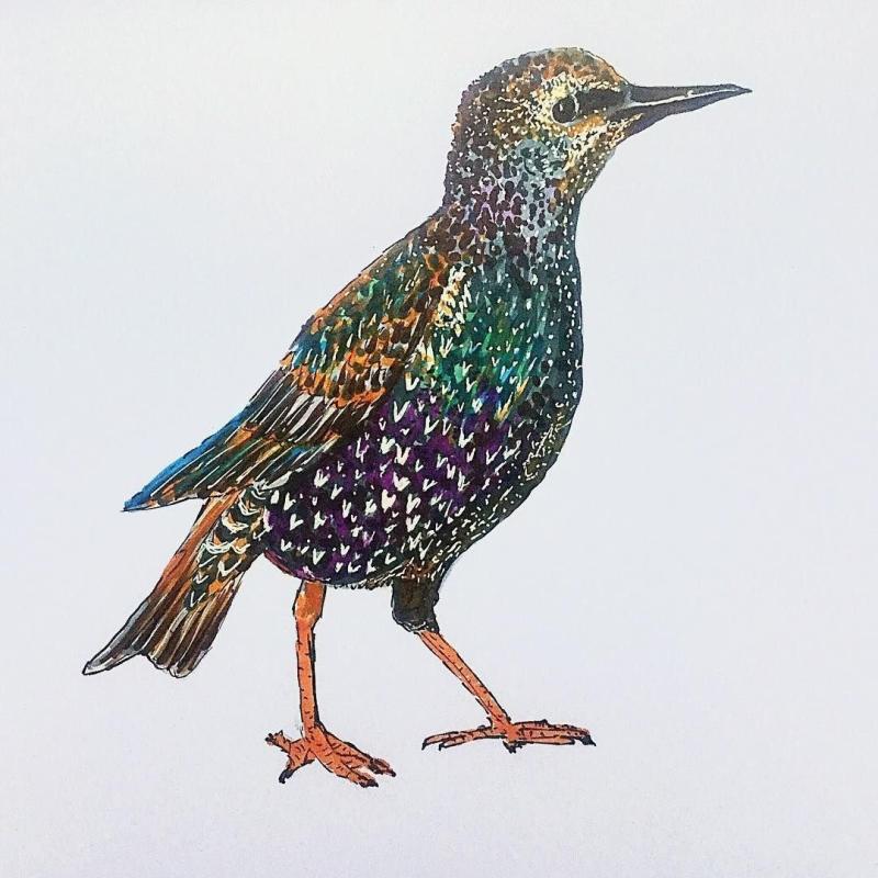 Скворец игрушка