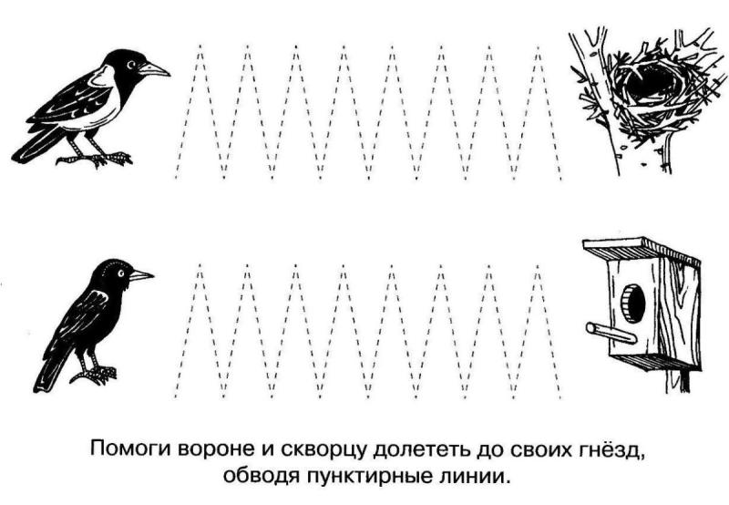 Скворцы мультяшные