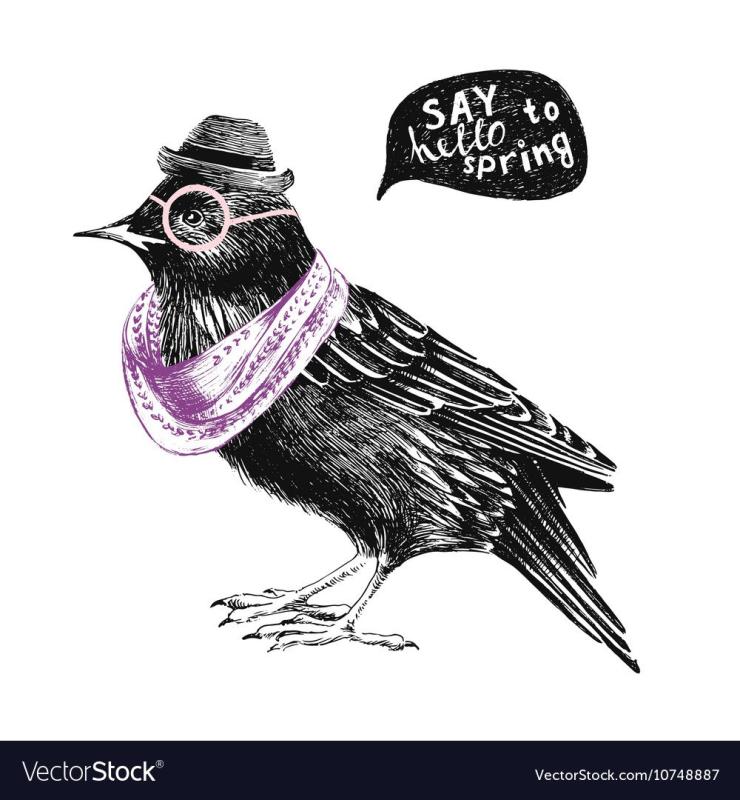 Скворец тату эскизы