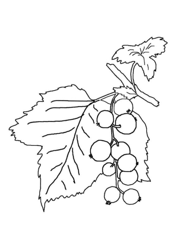 Обучающие карточки. Ягоды