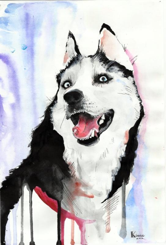 Собака хаски арт