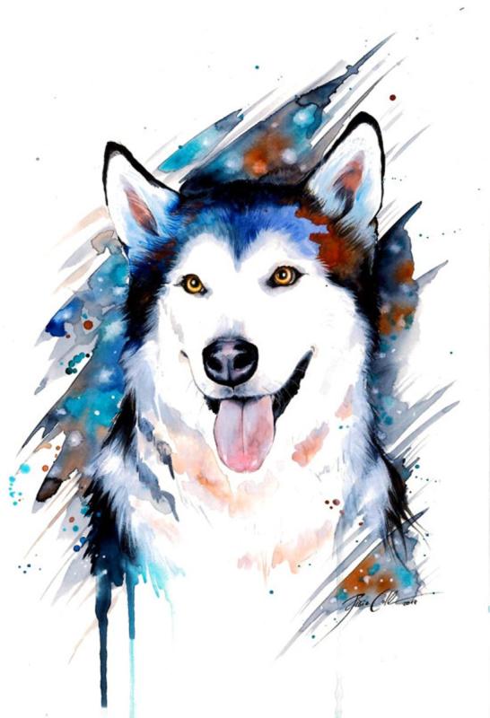 Хаски акварелью