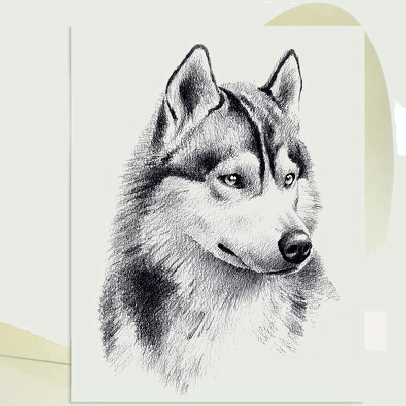 Хаски рисунок карандашом