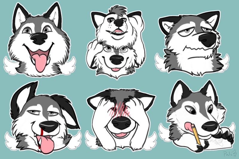 Сибирский хаски бандит и Бублик