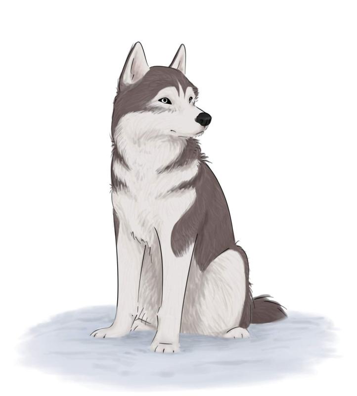 Пёс аниме хаски