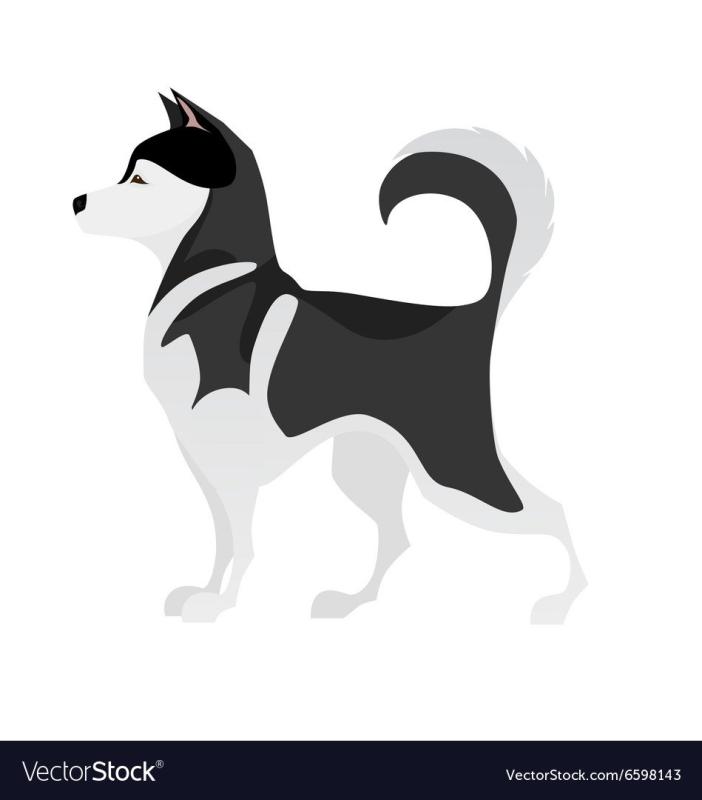 Рисунки собак гуашью