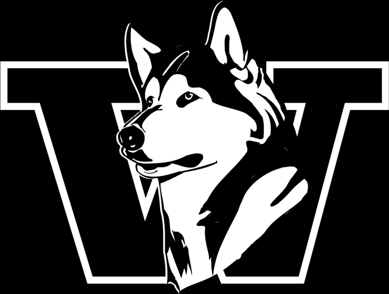 Хаски рисунок для срисовки