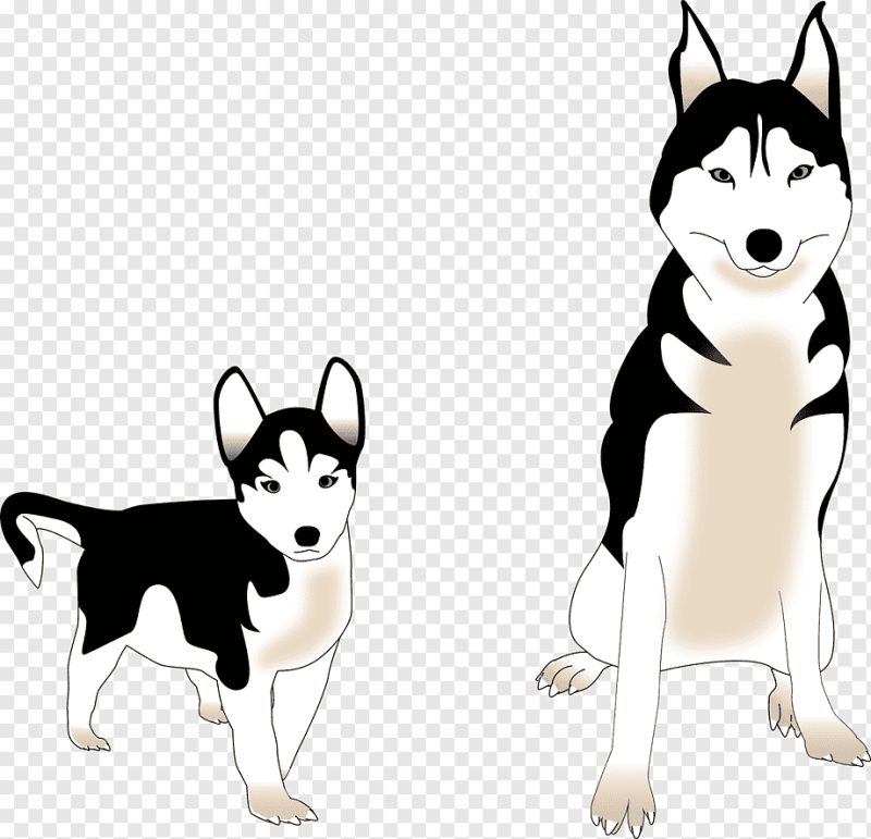 Животные гуашью