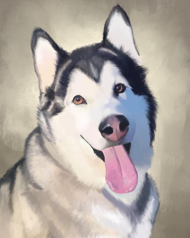 Собака сбоку чернобулый контур