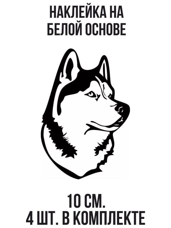 Раскраска собака хаски