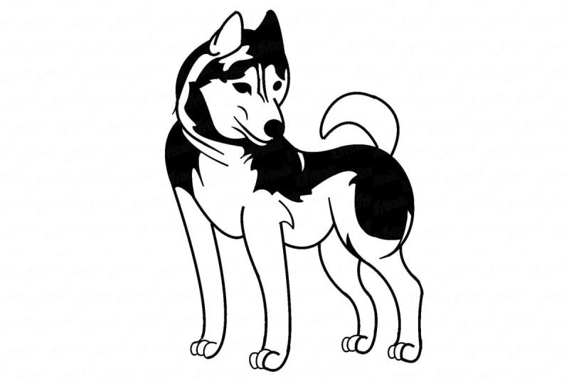 Рисунки хаски для срисовки лёгкие