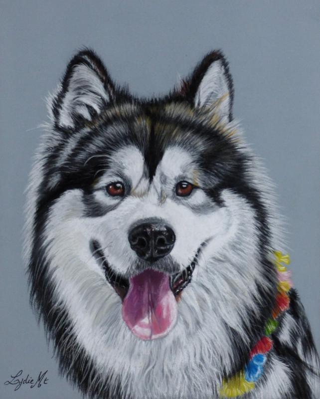 Аляскинский маламут арт