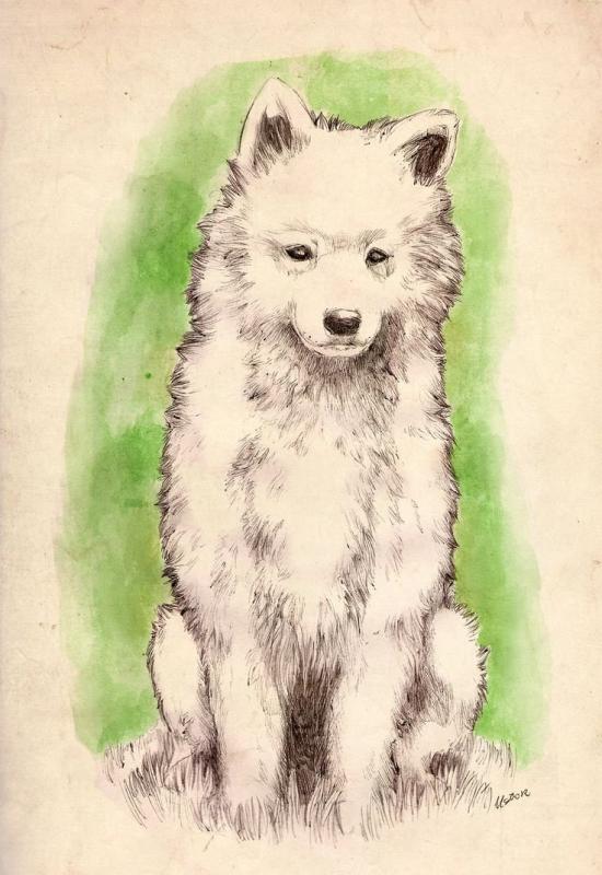 Собака в движении карандашом