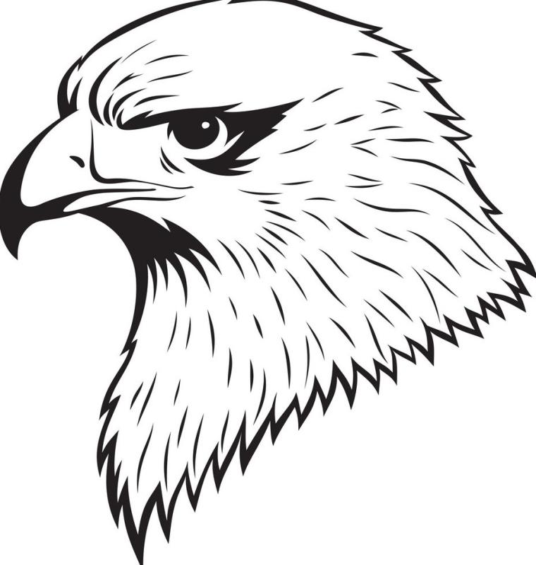 Орел в полете эскиз