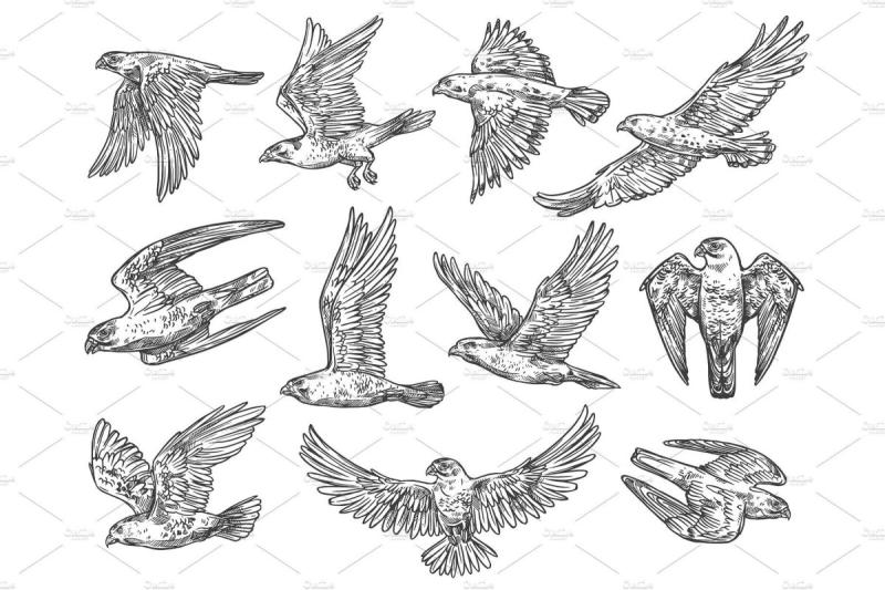 Орел тату эскиз