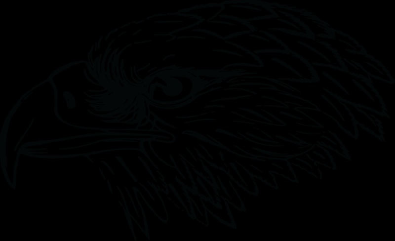 С Поляны Коршун поднялся рисунок