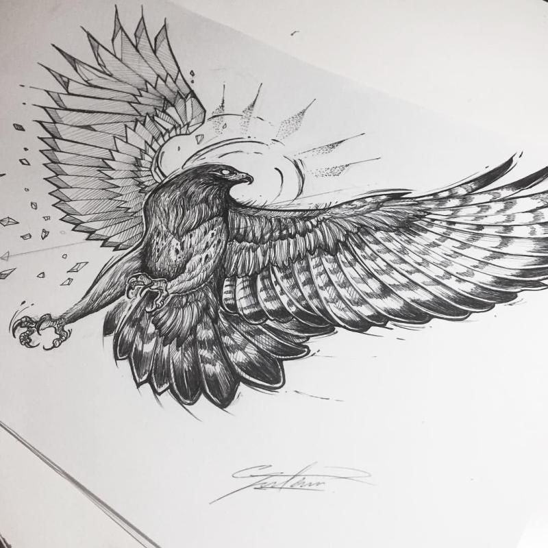Наброски хищных птиц