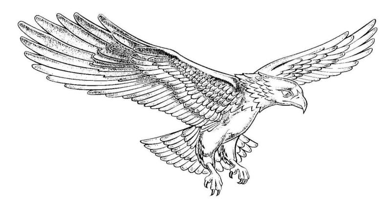 Ястреб раскраска