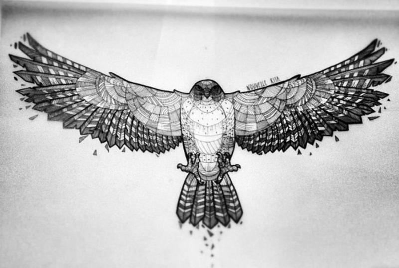 Парящая птица карандашом