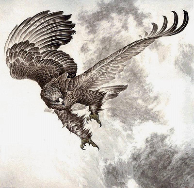 Орел карандашом