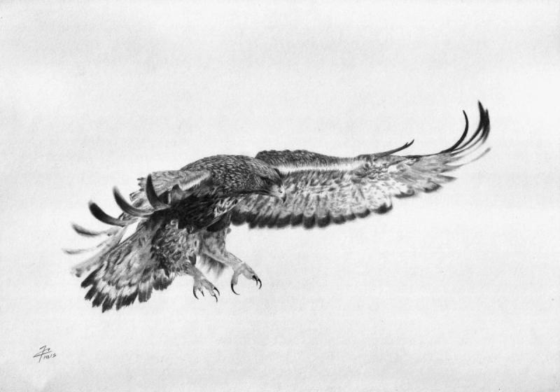 Гравировка орла с крыльями