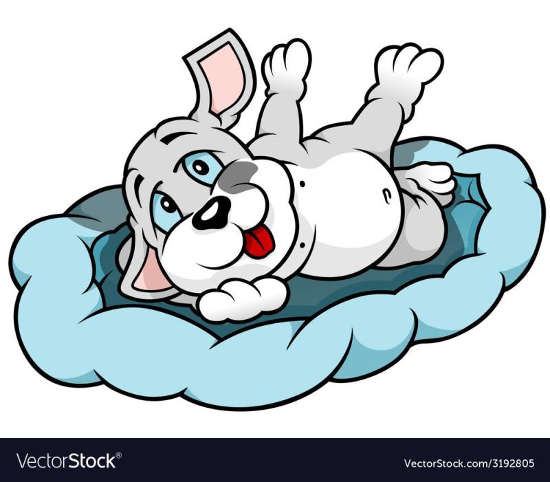 Иллюстрация собака лежит калачиком