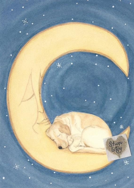 Собачки спят на облачке