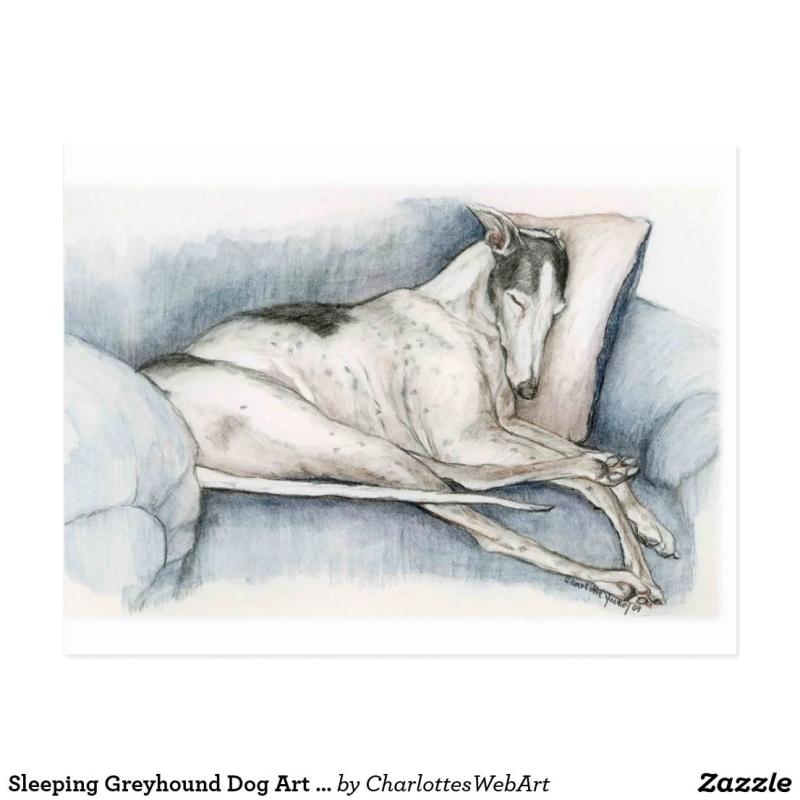 Лежачая собака Минимализм