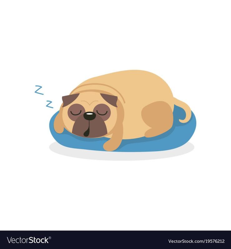 Корги комикс