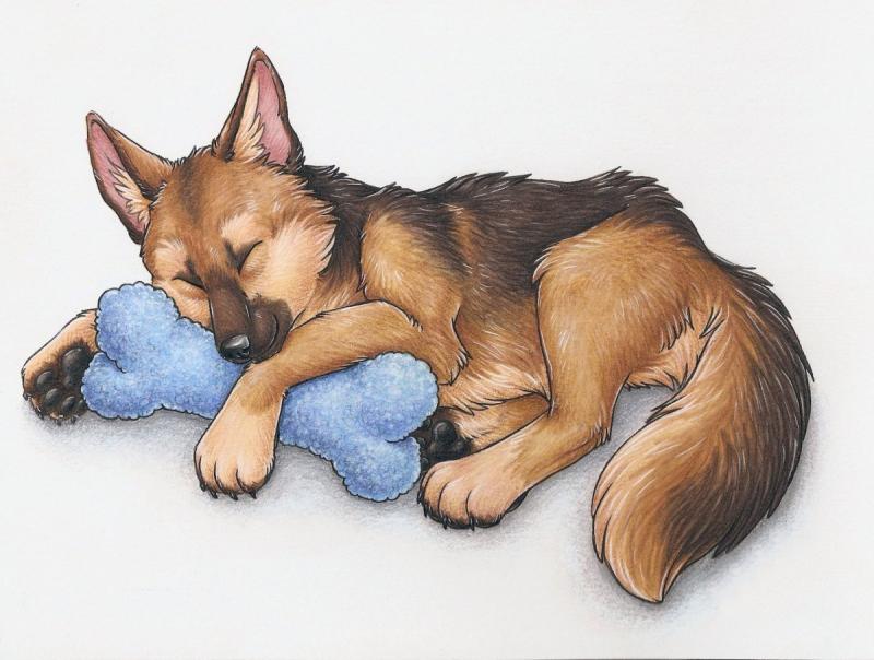 Собака спит вектор