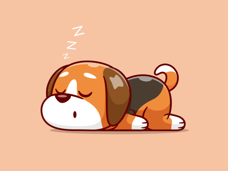 Собака лежит вид сверху