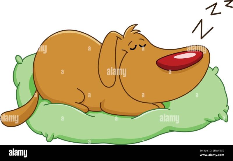 Бигль и хозяйка в кровати рисунок