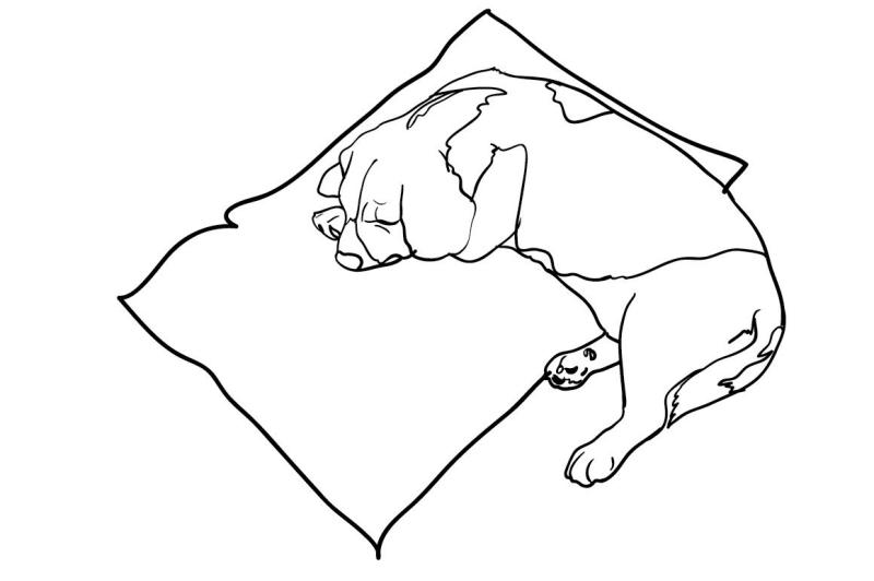 Спящие животные мультяшные