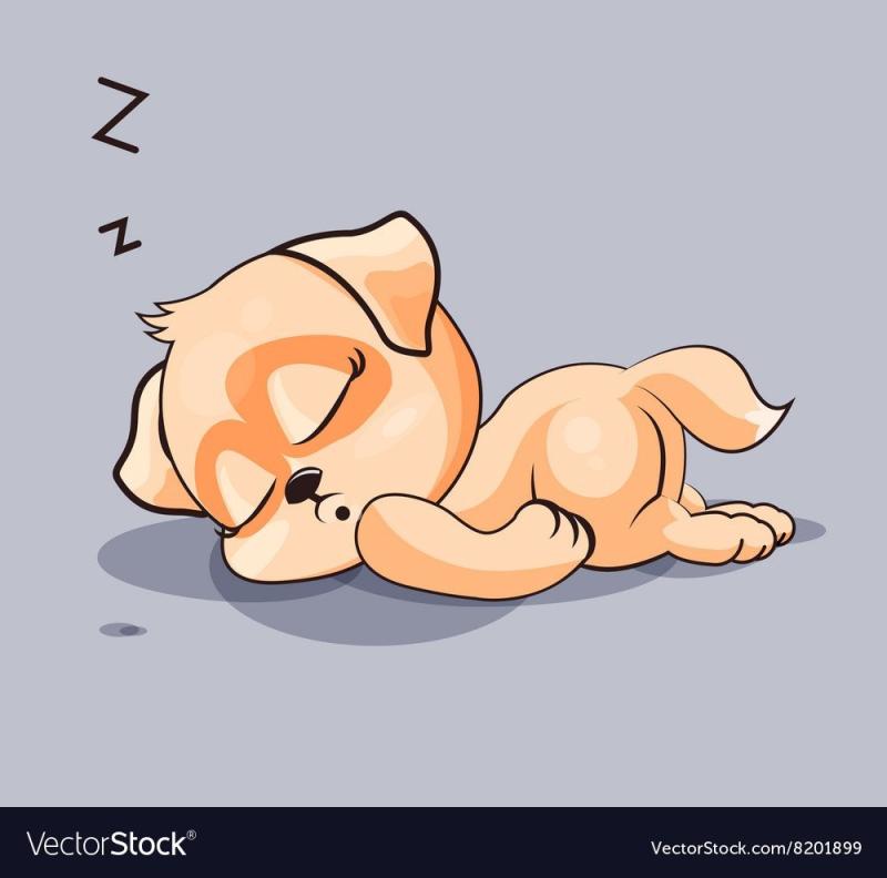 Собака спит