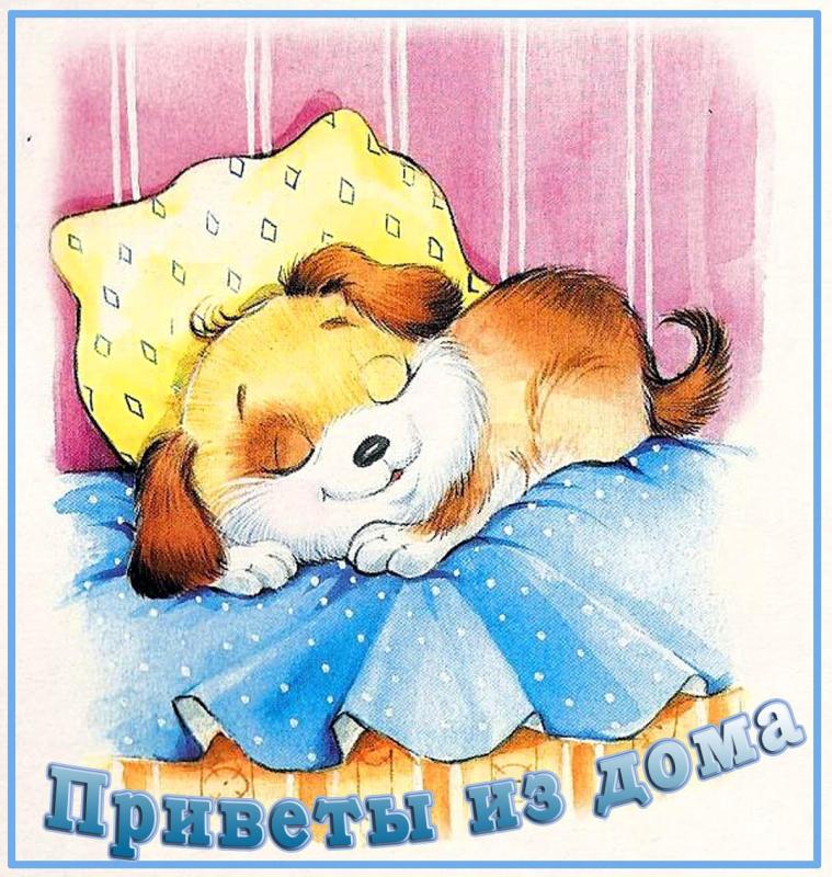 Спящая собака рисунок