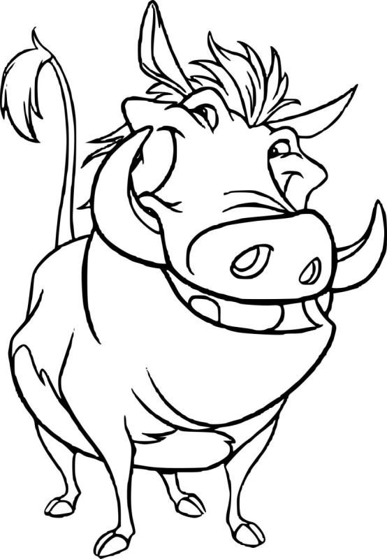 Тимон рисунок