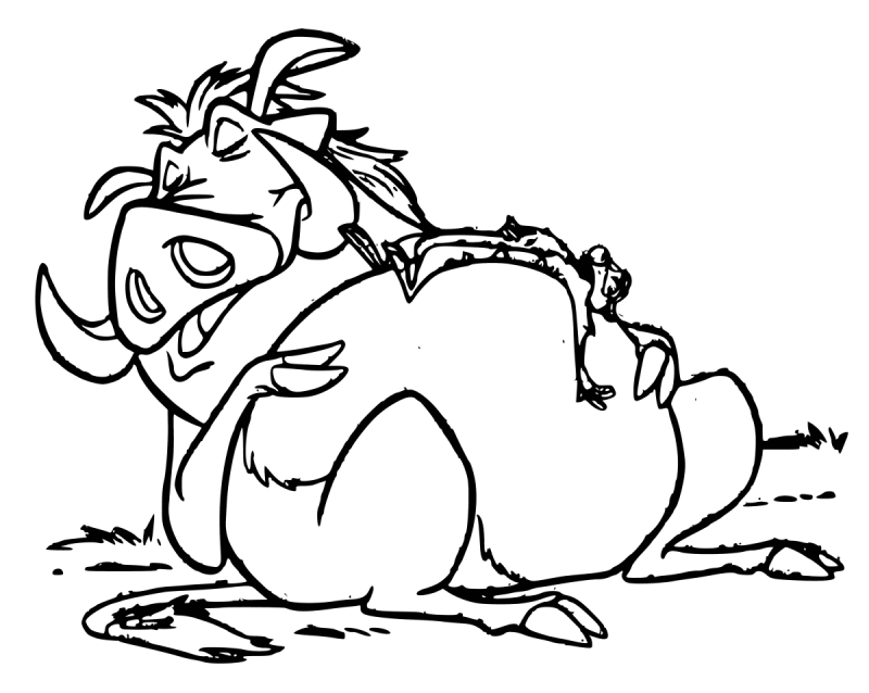 Раскраски хранитель Лев Тимон и Пумба