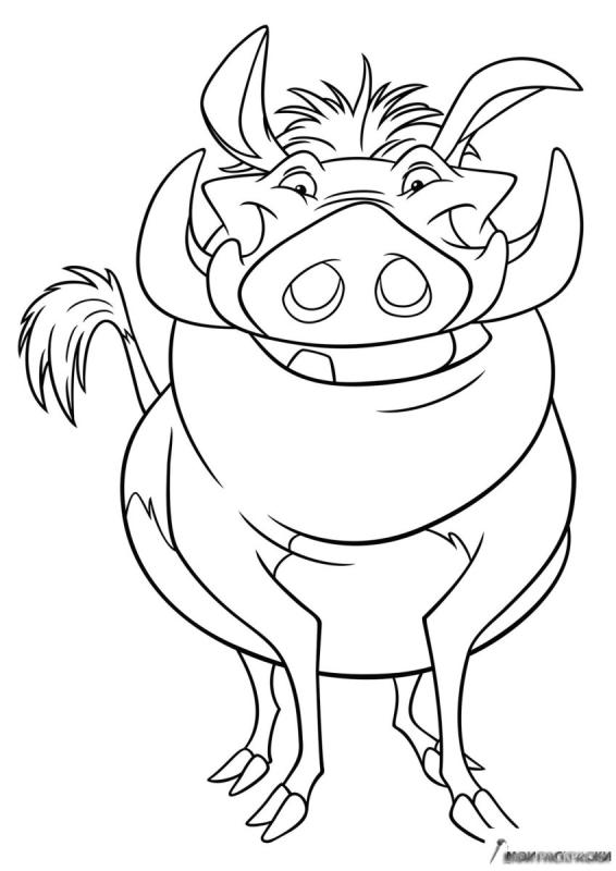 Раскраска Король Лев Тимон и Пумба