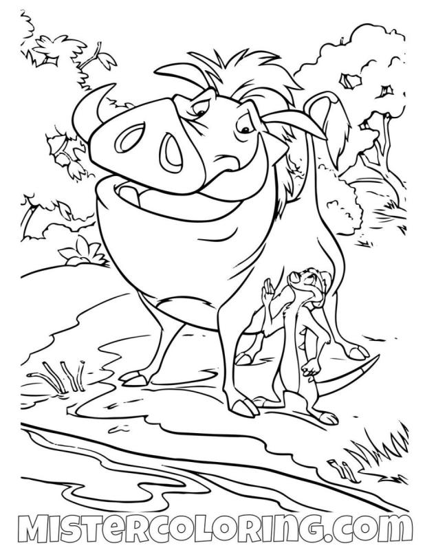 Раскраски мультики Тимон и Пумба