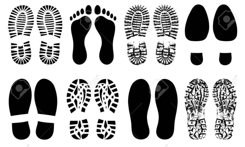 Контур ступни