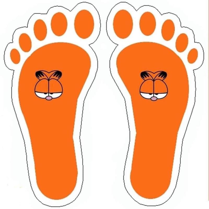 Следы с мордочками