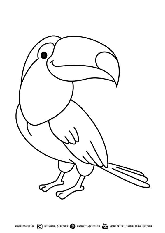 Раскраска попугай Тукан